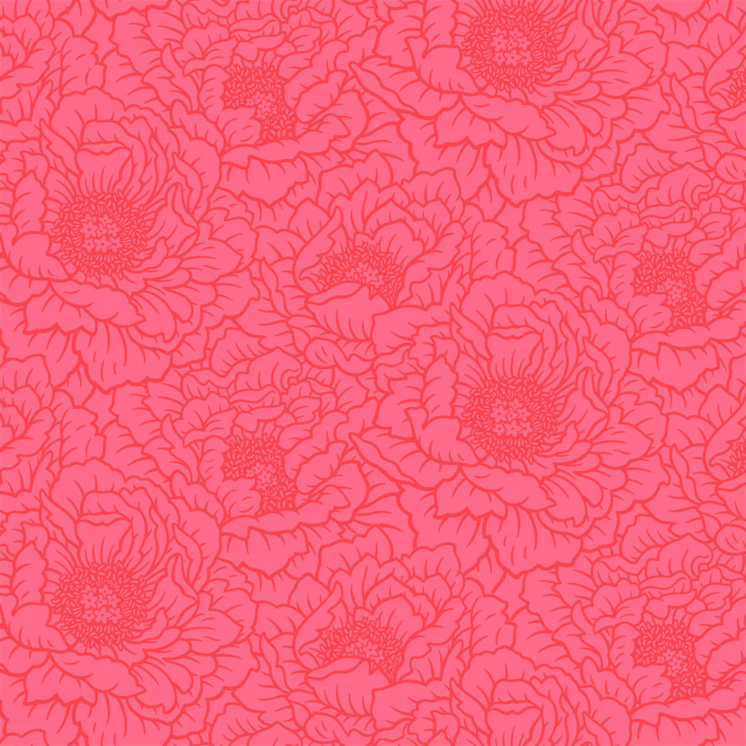 Peony - Coral