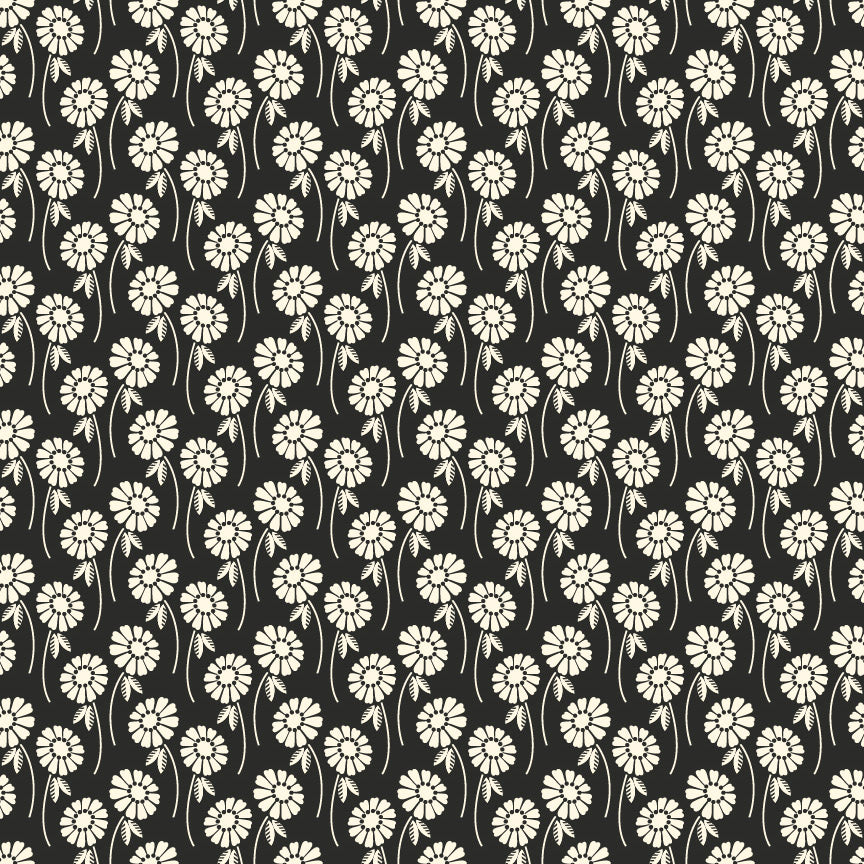 Upsy Daisy - Licorice