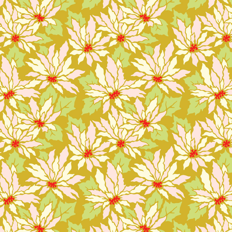 Poinsettia - Ginger