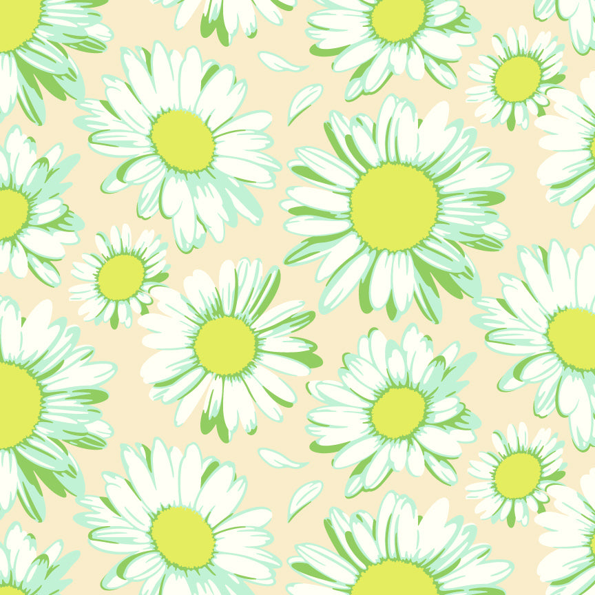 Sunshine Daisies - Ivory