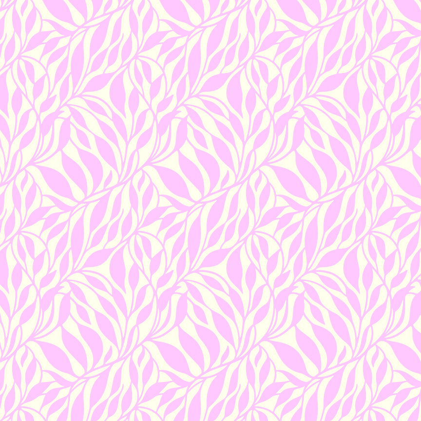 Wander - Orchid