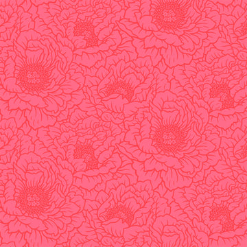 Peony - Coral