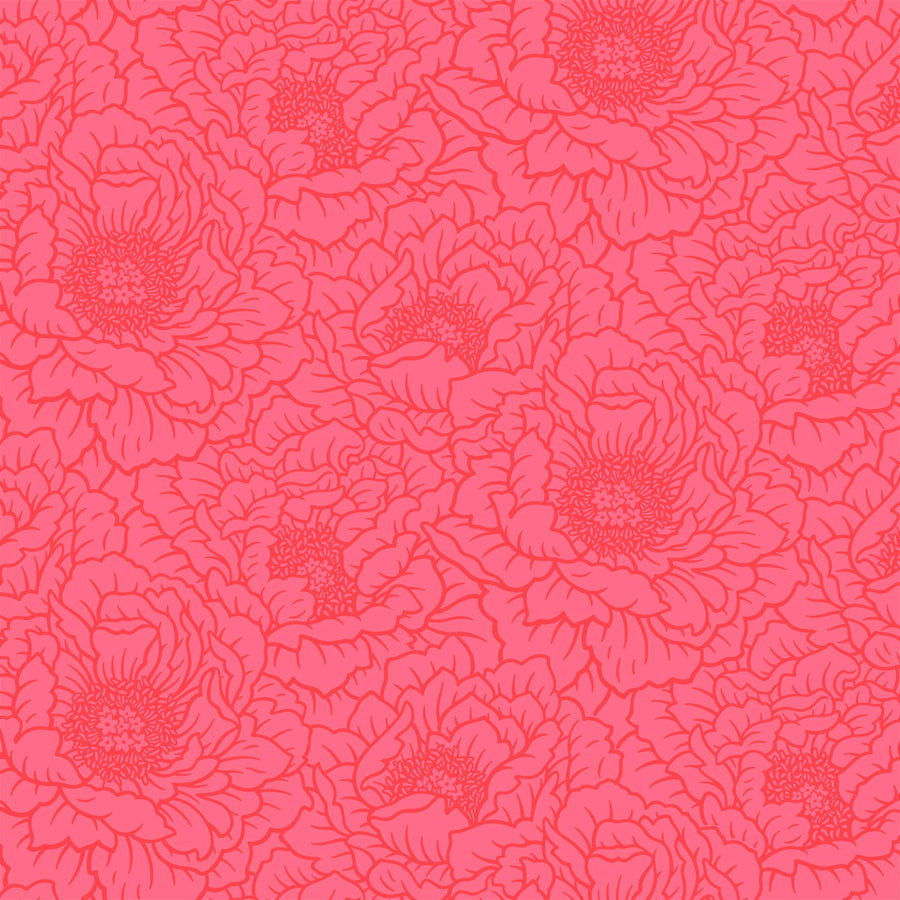 Peony - Coral