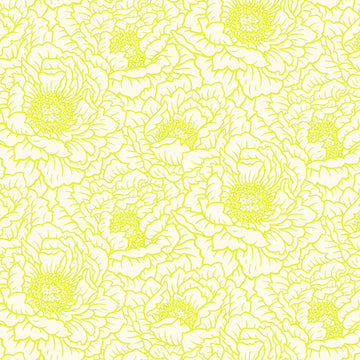 Peony - Cream