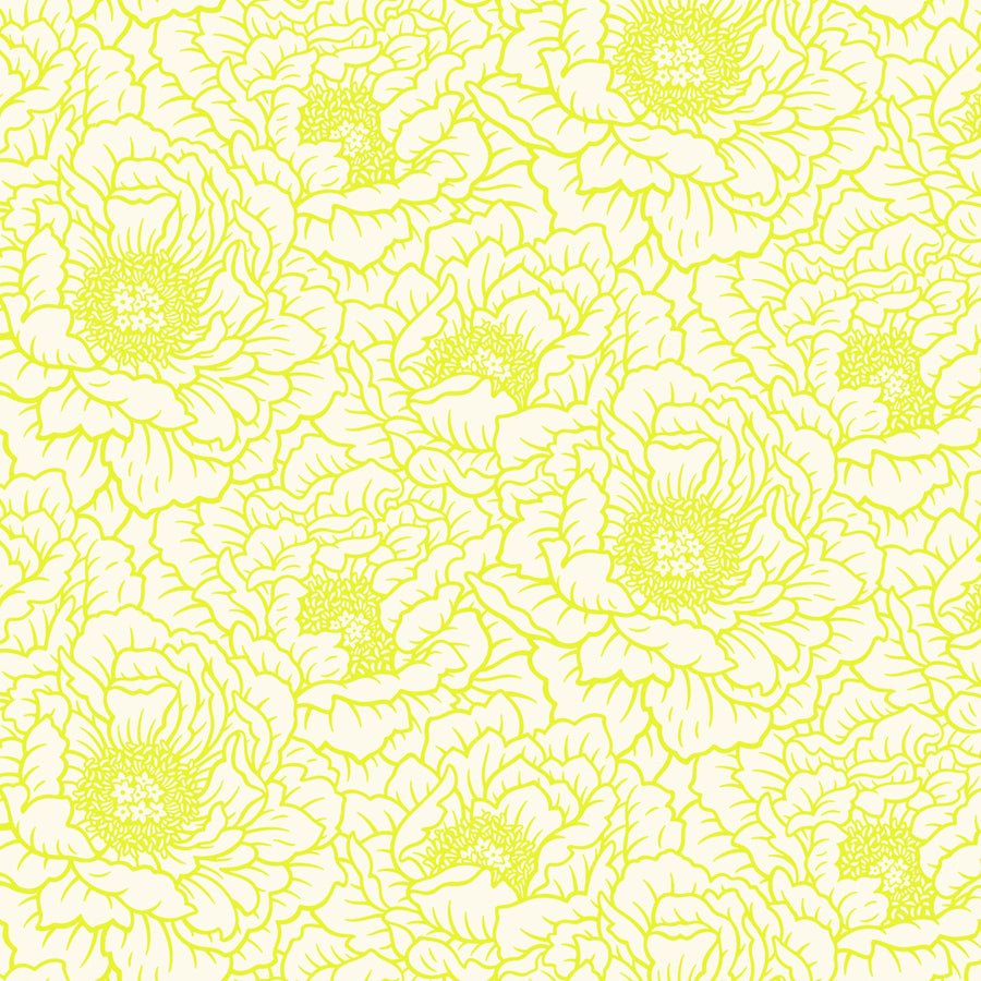 Peony - Cream