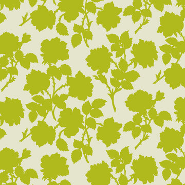 Bramble - Olive
